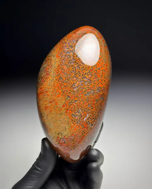 恐龙宝石骨质玻璃体（Dinosaur Gem Bone Vitrolith ）