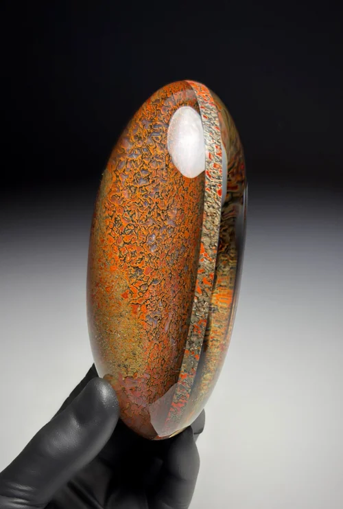 恐龙宝石骨质玻璃体（Dinosaur Gem Bone Vitrolith ）