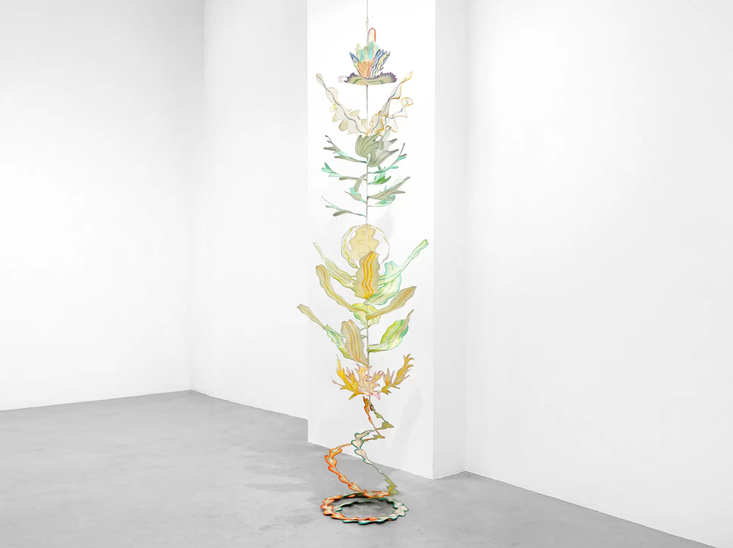阿斯特赖亚之树 （Astraea’s Arbor ）