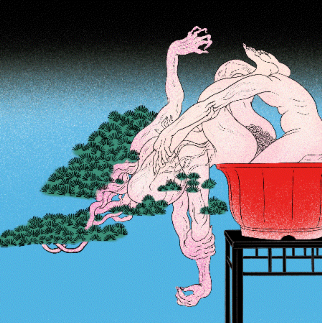 人体盆景 光栅画 （Human Bonsai Lenticular Frame - Made to Order)）