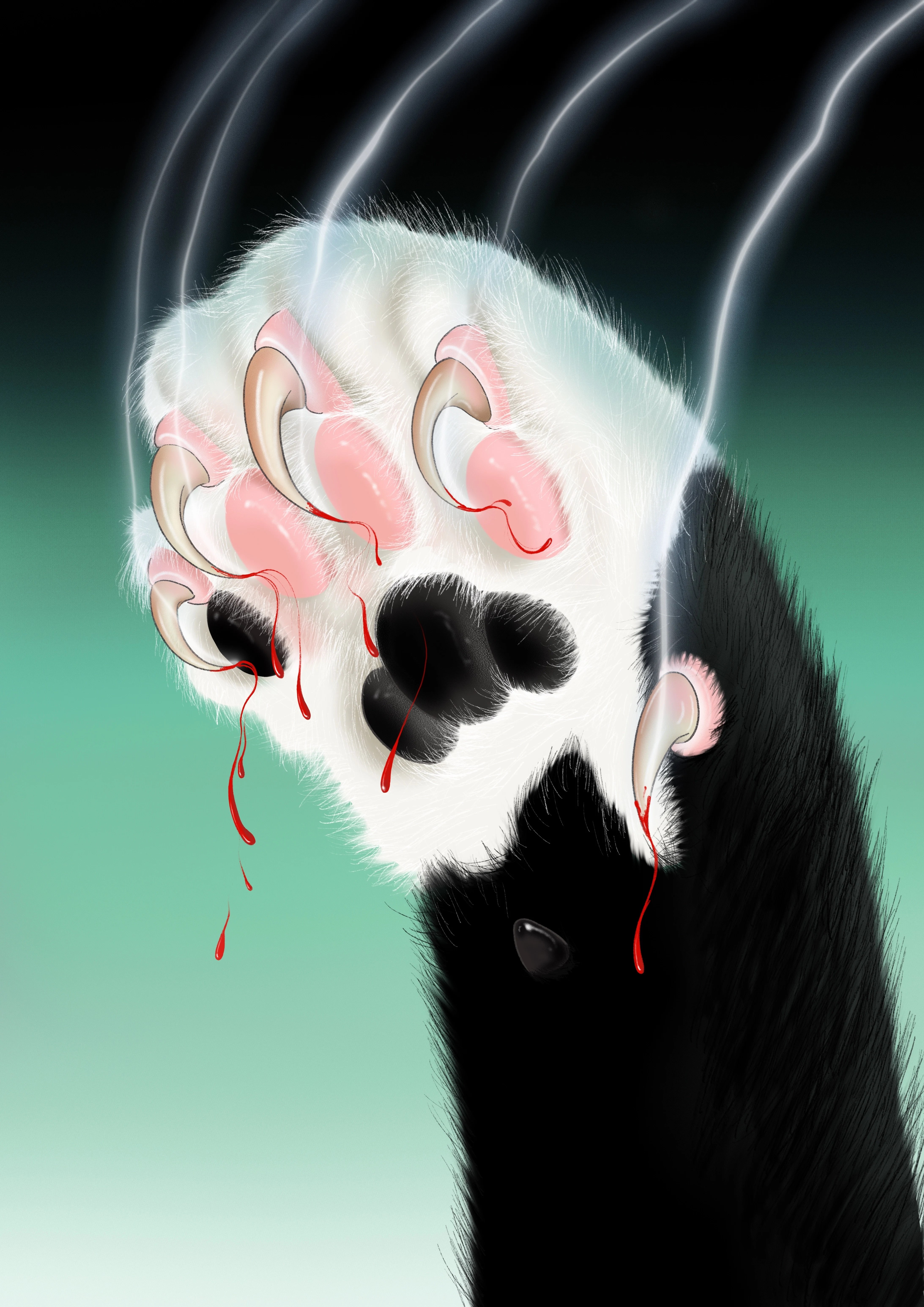 猫爪 光栅装裱作品 (Cat Claw Lenticular Frame)
