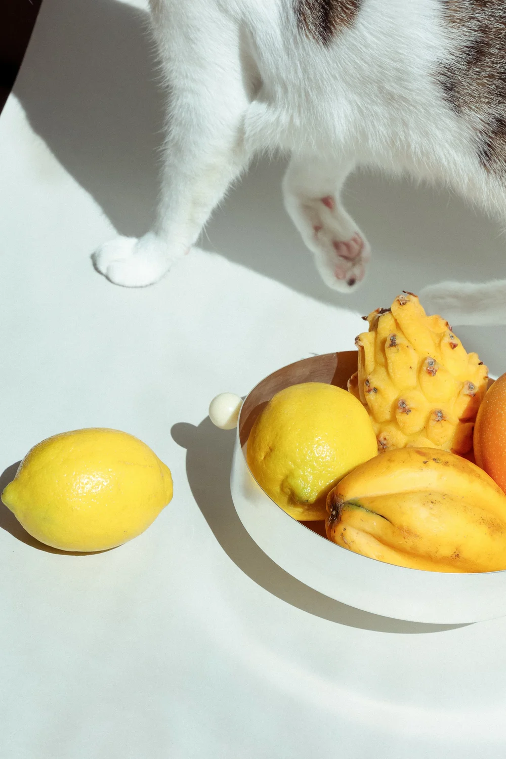 水果碗 18 白色（Fruit Bowl 18 White）