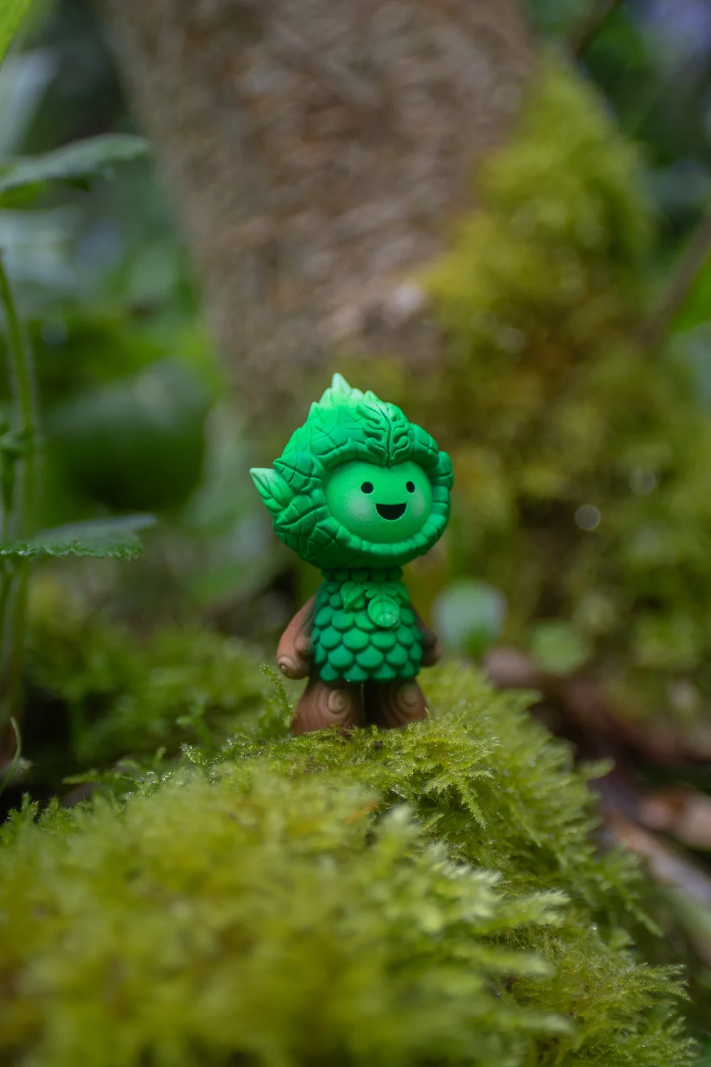 木聚婴叶灵林（Muju Baby Leaf Spirit Woodland）