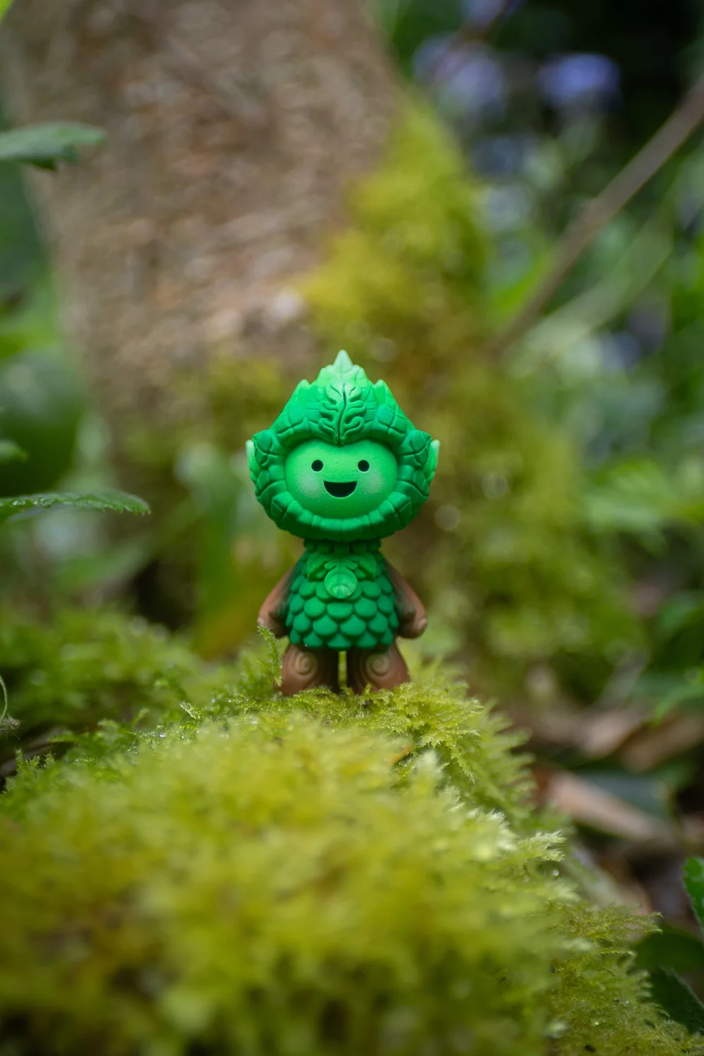 木聚婴叶灵林（Muju Baby Leaf Spirit Woodland）