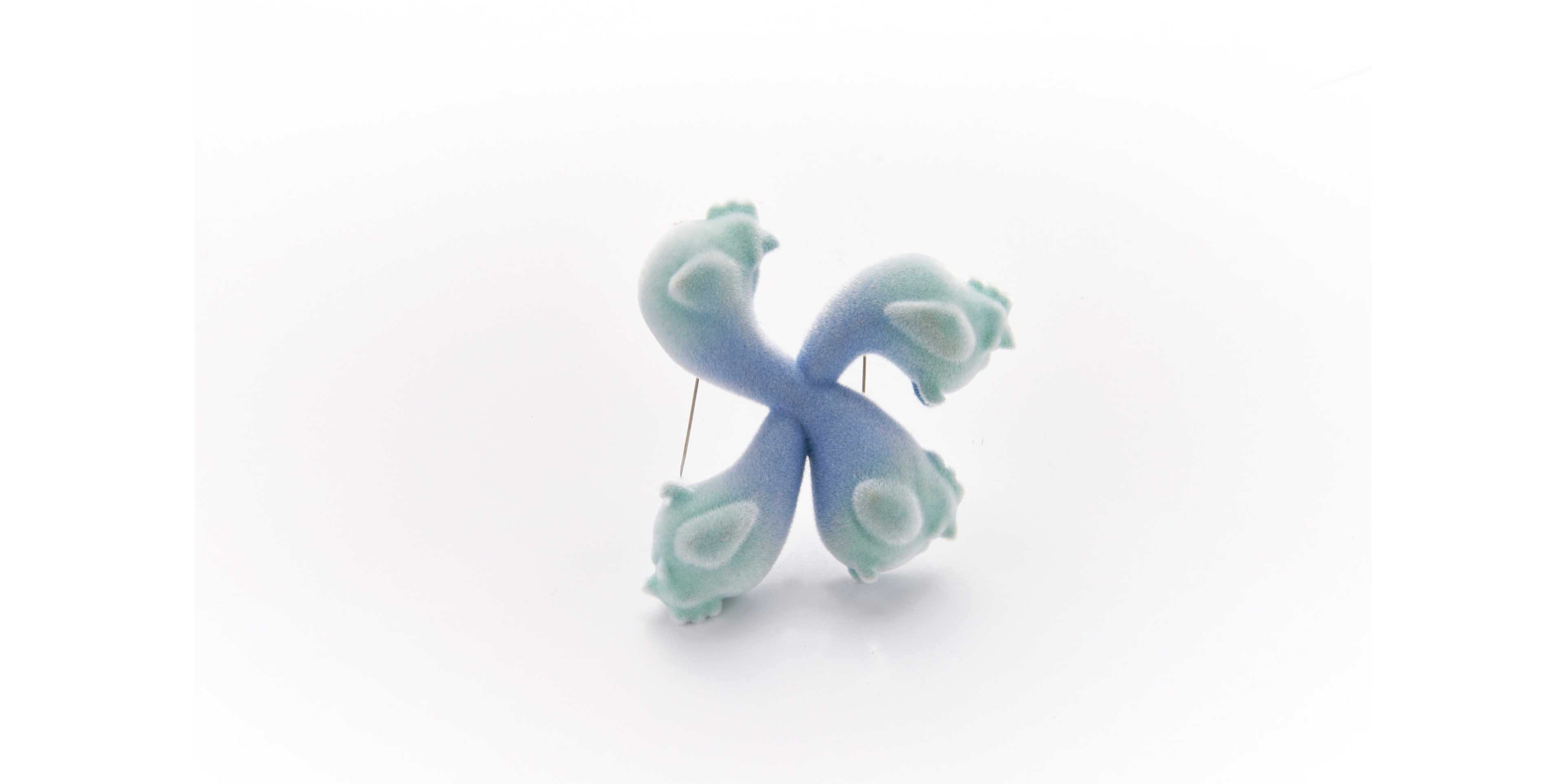 转化实验 3（ Transformation experiment - 3）