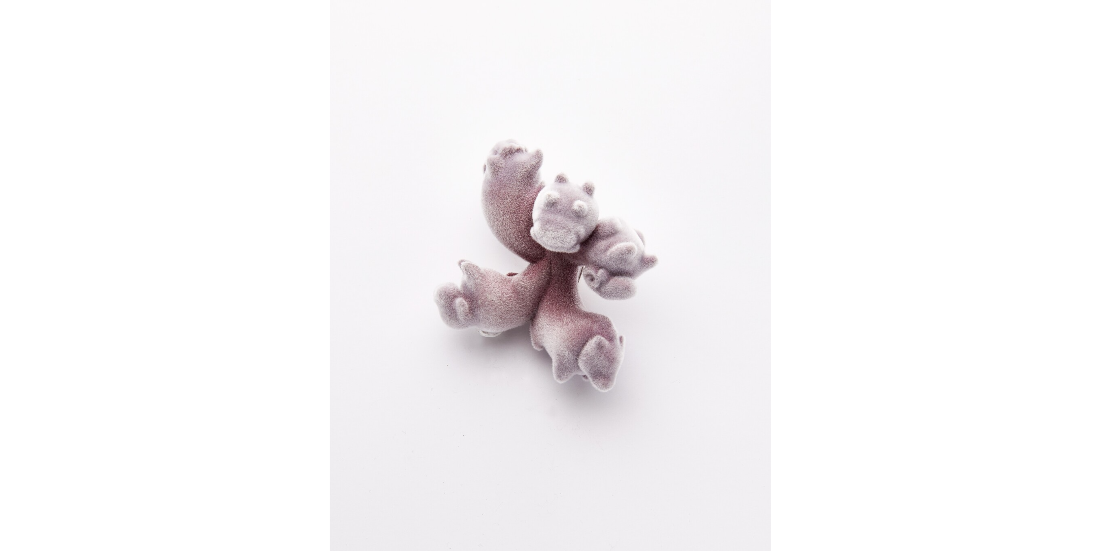 转化实验 5（ Transformation experiment - 5）
